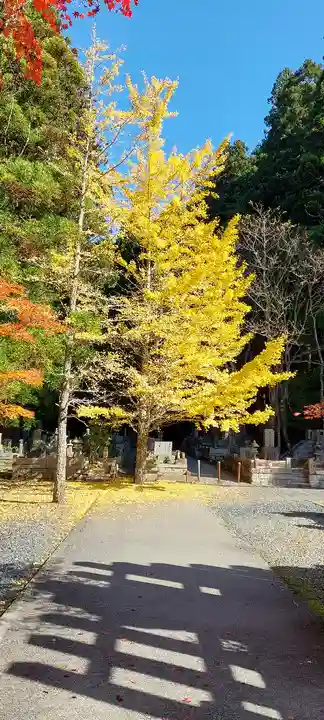 高野山金剛峯寺奥の院(和歌山県)