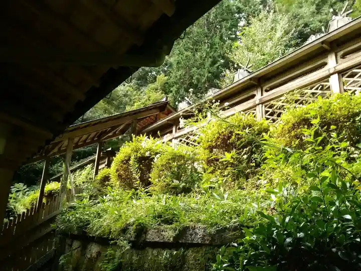 穴師坐兵主神社(奈良県)