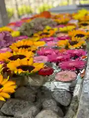 金蛇水神社(宮城県)