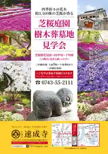 4月中旬~下旬にかけて芝桜約3500株が満開見頃を迎え、樹木葬墓地の辺り一面に芝桜の香りが漂い昆虫や野鳥が集まり幻想的な雰囲気に心癒されます🕊️🦋
※見学会は一件ごとに事前予約制となります。