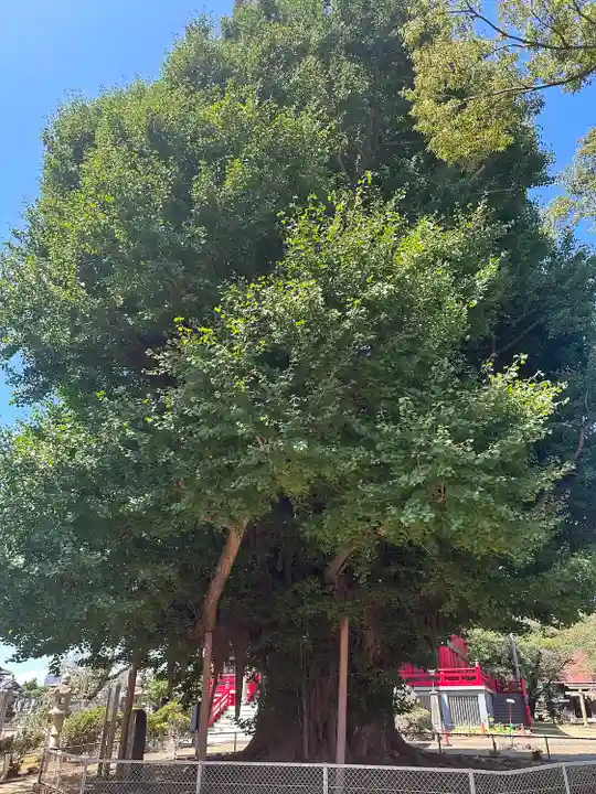 千葉寺(千葉県)