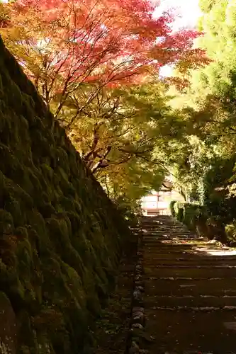 正伝護国禅寺(正伝寺･正傳寺)(京都府)