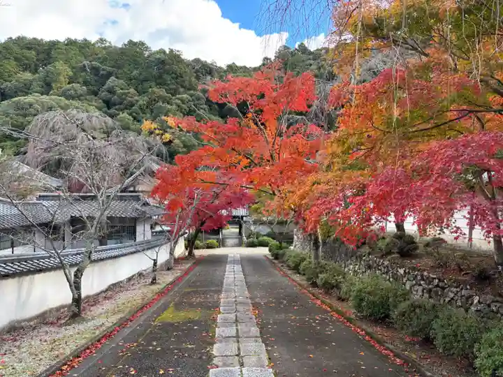 金剛寺(大阪府)