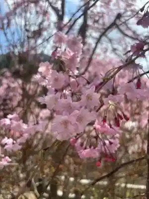 呑山観音寺の{uncategorized: "未分類", other: "その他", undefined: "問題あり", building: "その他建物", grave: "お墓", sacred_gate: "鳥居", guardian: "狛犬", statue: "像", buddha: "仏像", history: "歴史", nature: "自然", garden: "庭園", animal: "動物", pagoda: "塔", temizu: "手水舎", mountain_gate: "山門・神門", sanctuary: "本殿・本堂", subordinate: "末社・摂社", art: "芸術", scenery: "景色", jizo: "地蔵", ema: "絵馬", goshuin: "御朱印", omikuji: "おみくじ", items: "授与品その他", amulet: "お守り", goshuincho: "御朱印帳", eats: "食事", festival: "お祭り", votive_dance: "神楽", shichigosan: "七五三参", wedding: "結婚式", experience: "体験その他", initially: "初詣", around: "周辺", anti_infection: "感染症対策"}