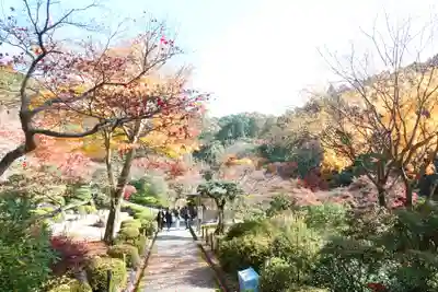三室戸寺(京都府)