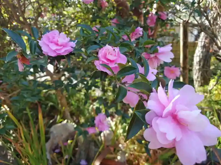 東林寺(神奈川県)