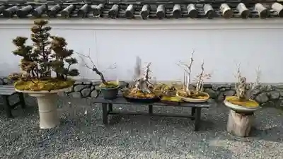 穴太寺(京都府)