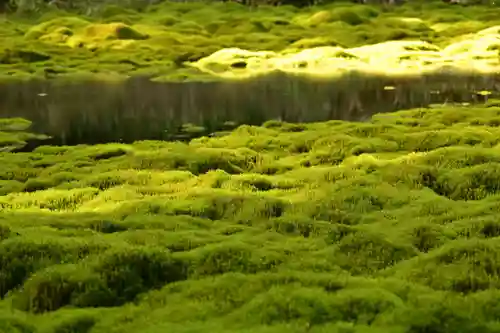 大山祇神社(高知県)