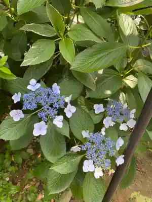 白龍神社の自然