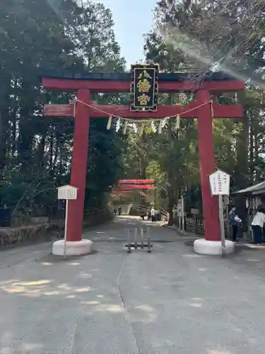 大崎八幡宮(宮城県)