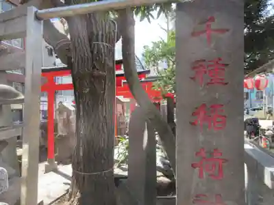 千種稲荷神社(東京都)