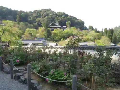 長谷寺の庭園