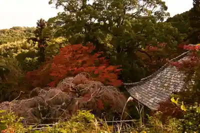 十輪寺(京都府)
