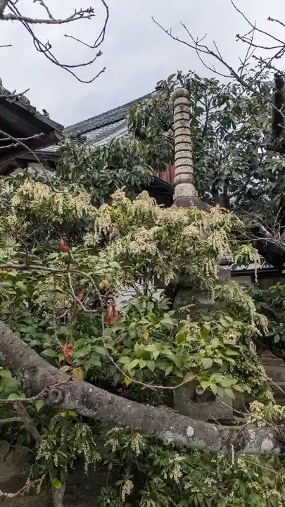 興聖寺(京都府)