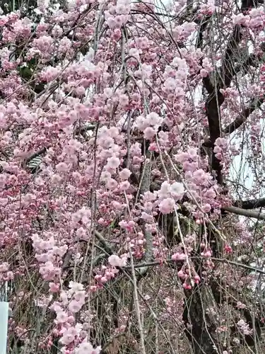 開成山大神宮(福島県)