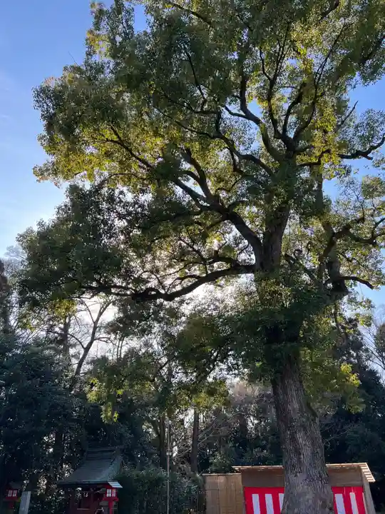 鷲宮神社のその他建物