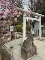 千駄ヶ谷冨士浅間神社の{uncategorized: "未分類", other: "その他", undefined: "問題あり", building: "その他建物", grave: "お墓", sacred_gate: "鳥居", guardian: "狛犬", statue: "像", buddha: "仏像", history: "歴史", nature: "自然", garden: "庭園", animal: "動物", pagoda: "塔", temizu: "手水舎", mountain_gate: "山門・神門", sanctuary: "本殿・本堂", subordinate: "末社・摂社", art: "芸術", scenery: "景色", jizo: "地蔵", ema: "絵馬", goshuin: "御朱印", omikuji: "おみくじ", items: "授与品その他", amulet: "お守り", goshuincho: "御朱印帳", eats: "食事", festival: "お祭り", votive_dance: "神楽", shichigosan: "七五三参", wedding: "結婚式", experience: "体験その他", initially: "初詣", around: "周辺", anti_infection: "感染症対策"}