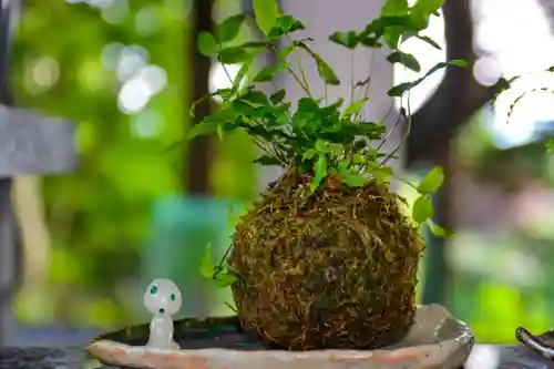 尻岸内八幡神社の自然