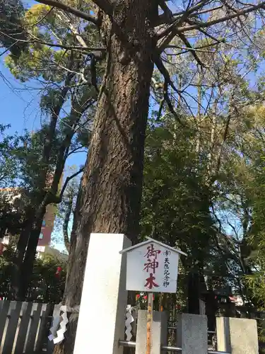 田無神社の自然