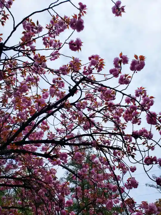 龍光寺(東京都)