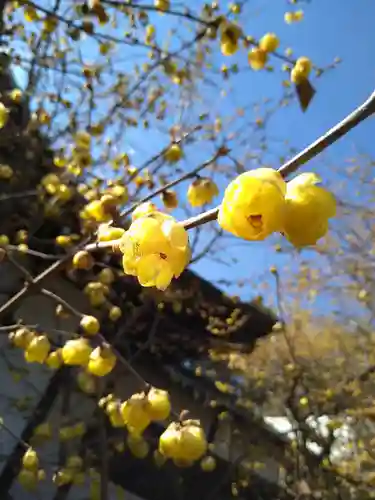 横浜　西方寺(神奈川県)