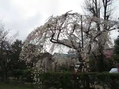 長建寺の自然