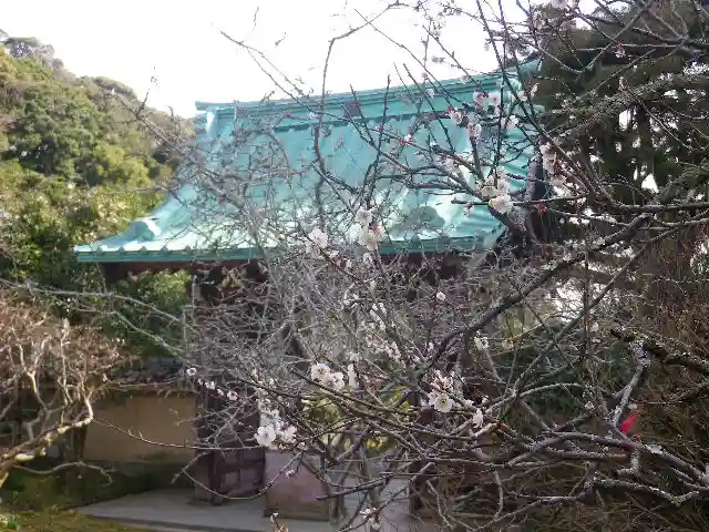 光則寺のその他建物