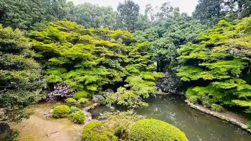 隨心院（随心院）(京都府)