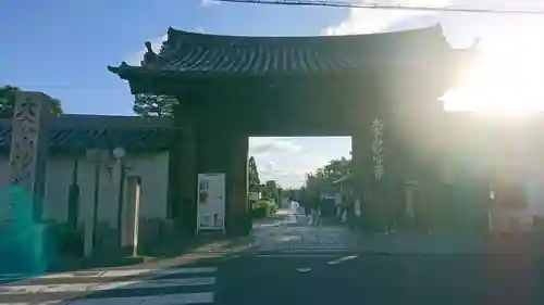 妙心寺（妙心禅寺）の山門