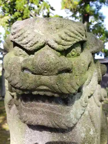 白山神社の狛犬