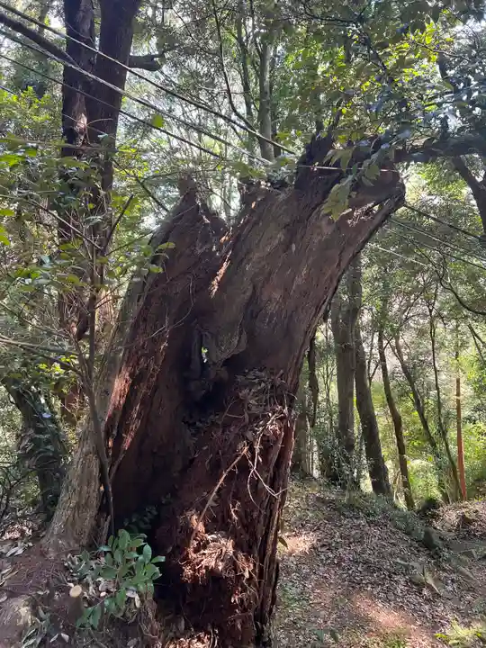 西明寺(栃木県)