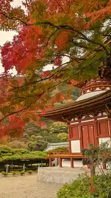 善峯寺(京都府)