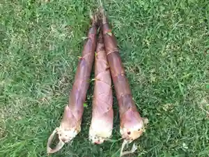 国宝 大法寺の食事(2021年05月22日(土) 11時10分09秒投稿)