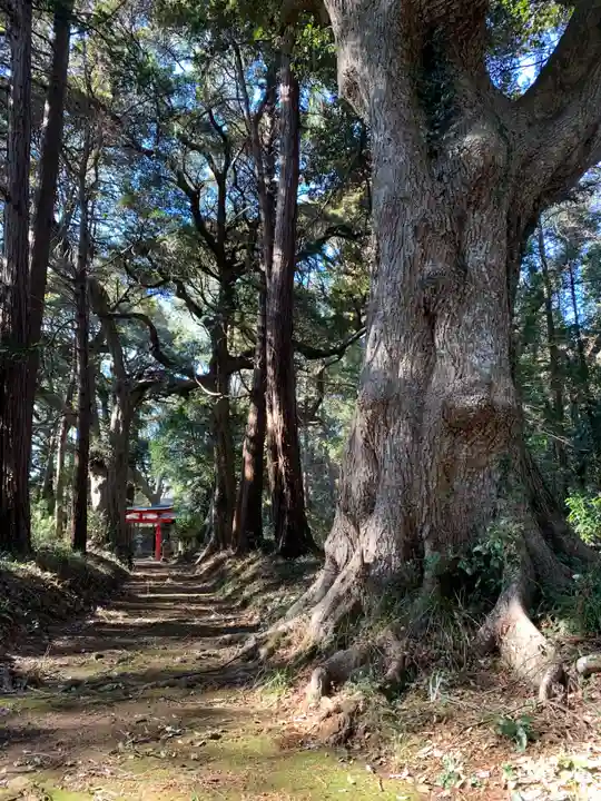 諏訪神社(千葉県)