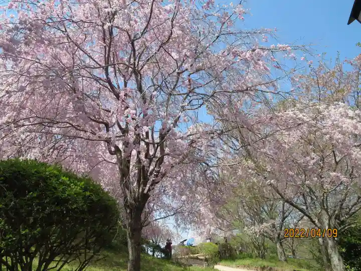 久延彦神社の自然