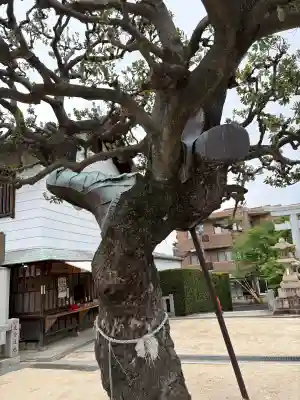 打出天神社の{uncategorized: "未分類", other: "その他", undefined: "問題あり", building: "その他建物", grave: "お墓", sacred_gate: "鳥居", guardian: "狛犬", statue: "像", buddha: "仏像", history: "歴史", nature: "自然", garden: "庭園", animal: "動物", pagoda: "塔", temizu: "手水舎", mountain_gate: "山門・神門", sanctuary: "本殿・本堂", subordinate: "末社・摂社", art: "芸術", scenery: "景色", jizo: "地蔵", ema: "絵馬", goshuin: "御朱印", omikuji: "おみくじ", items: "授与品その他", amulet: "お守り", goshuincho: "御朱印帳", eats: "食事", festival: "お祭り", votive_dance: "神楽", shichigosan: "七五三参", wedding: "結婚式", experience: "体験その他", initially: "初詣", around: "周辺", anti_infection: "感染症対策"}
