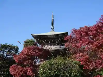 道場寺の塔
