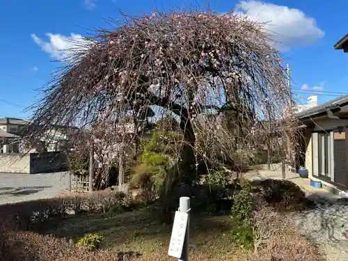 朝日森天満宮(栃木県)