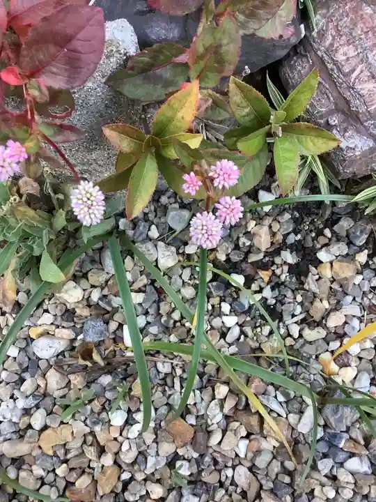 三輪神社の自然