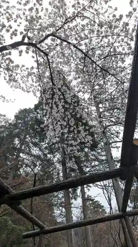大原野神社(京都府)
