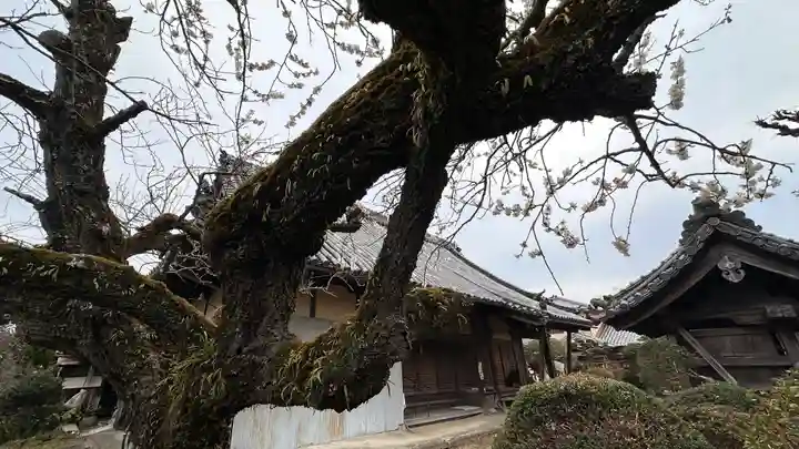 長林寺(奈良県)