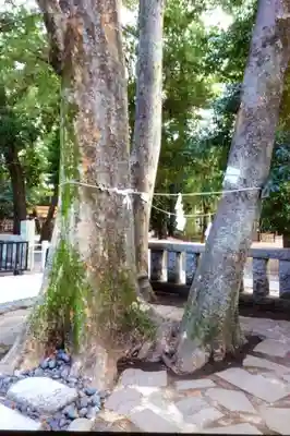 布多天神社(東京都)