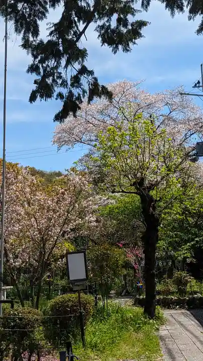 惠心院(京都府)
