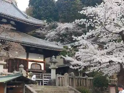 極楽寺(兵庫県)