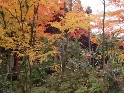 禅林寺(永観堂)(京都府)