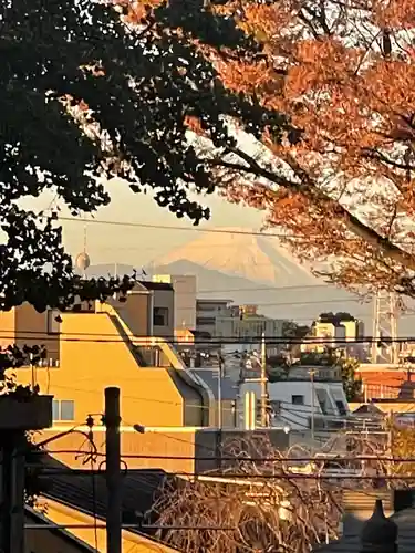 北澤八幡神社の景色