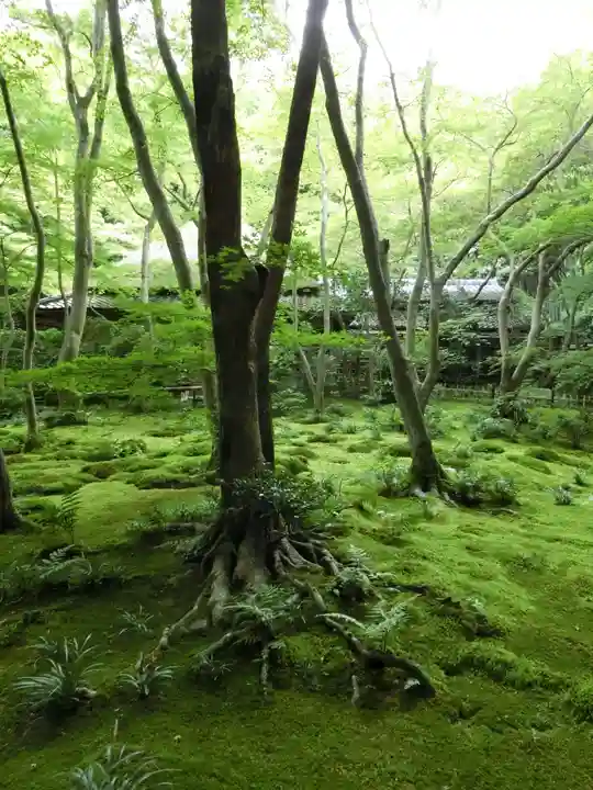 祇王寺(京都府)