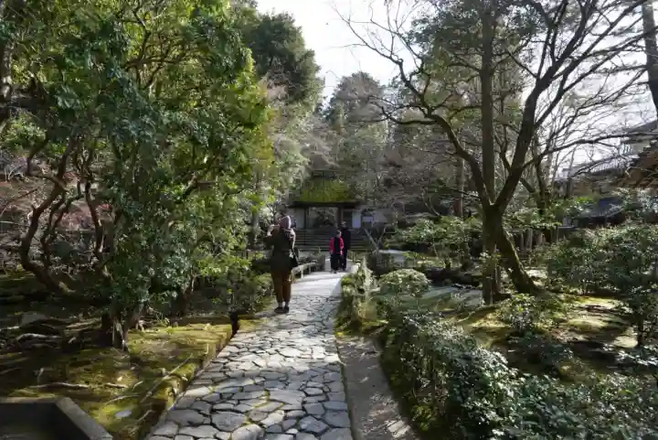 法然院の{uncategorized: "未分類", other: "その他", undefined: "問題あり", building: "その他建物", grave: "お墓", sacred_gate: "鳥居", guardian: "狛犬", statue: "像", buddha: "仏像", history: "歴史", nature: "自然", garden: "庭園", animal: "動物", pagoda: "塔", temizu: "手水舎", mountain_gate: "山門・神門", sanctuary: "本殿・本堂", subordinate: "末社・摂社", art: "芸術", scenery: "景色", jizo: "地蔵", ema: "絵馬", goshuin: "御朱印", omikuji: "おみくじ", items: "授与品その他", amulet: "お守り", goshuincho: "御朱印帳", eats: "食事", festival: "お祭り", votive_dance: "神楽", shichigosan: "七五三参", wedding: "結婚式", experience: "体験その他", initially: "初詣", around: "周辺", anti_infection: "感染症対策"}
