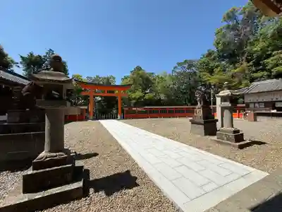 柏原八幡宮の本殿・本堂