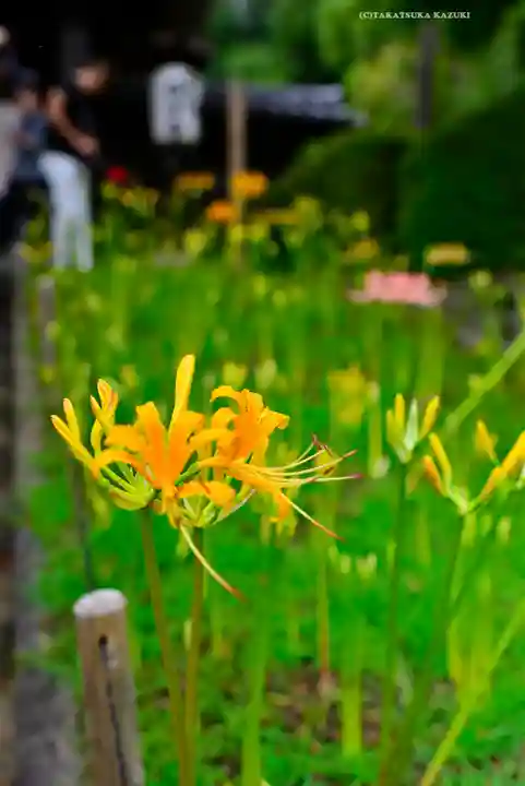 横浜 西方寺(神奈川県)